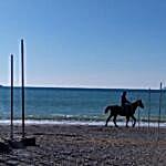 horse riding
