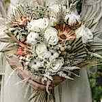 flowers_oludeniz-bwbc21