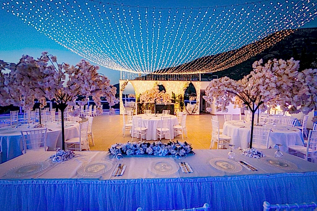 Carrington Suites Weddings 2025-3